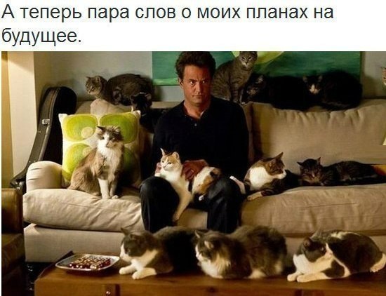 Подборка картинок из Ваших интернетов