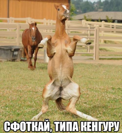 Картинки разные.