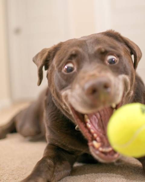 Подборка интересных и веселых картинок