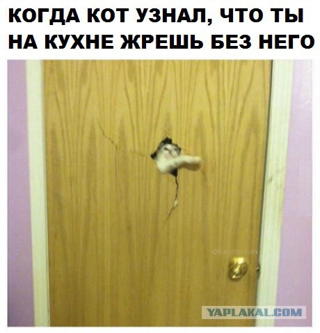 Абсурдный юмор ч.21
