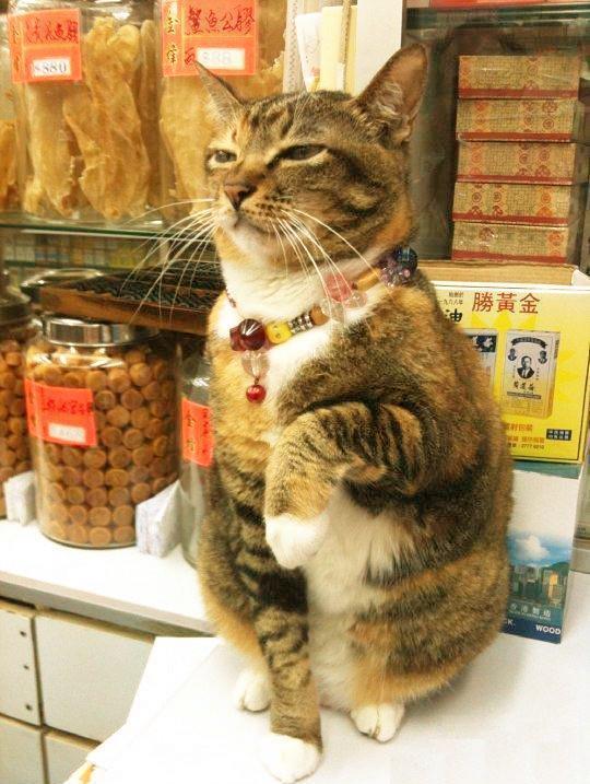 Подборка интересных и веселых фото