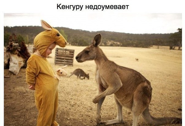 Интересные и веселые картинки