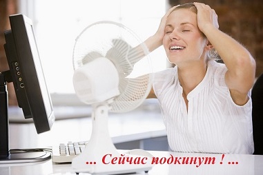 Гендерный срач.