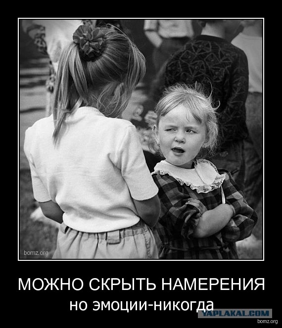 Подборка интересных и смешных картинок