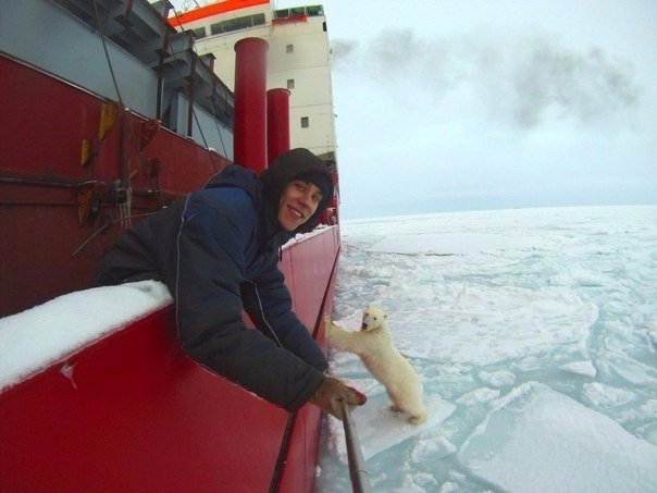 Божьи твари