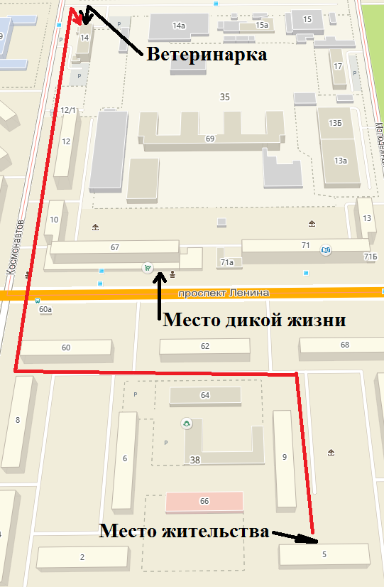 Взрослый? Сильный? Независимый? Ха-Ха-Ха!
