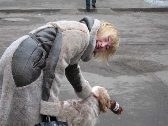 Собачка с похмелья, Киев 1 января 2008