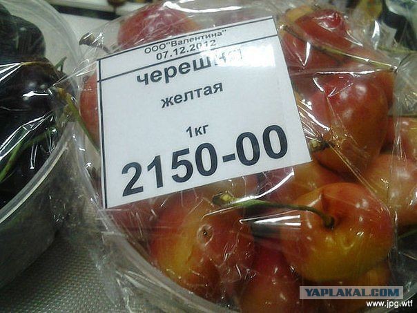 Лучший северный город России