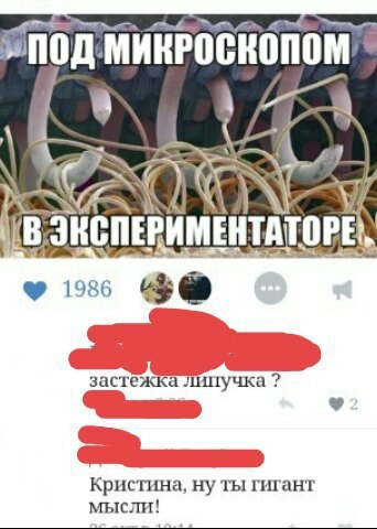 Ужасы и приколы из соцсетей 18+