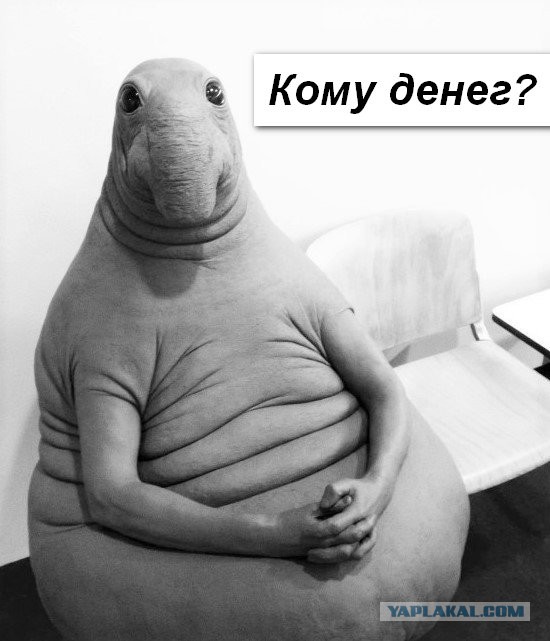 Девушки в поисках спонсора