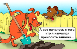 Ротвейлер в затруднении