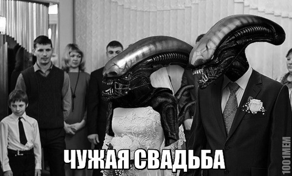 Картинки из вк