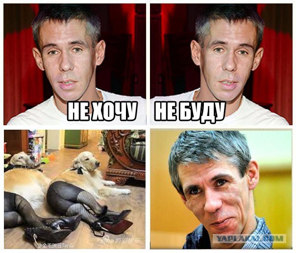 В Саранске мужчина изнасиловал собаку