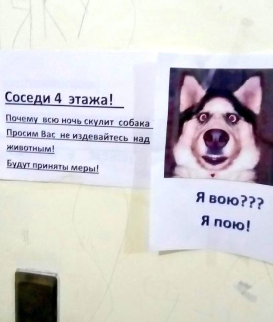 Подборка интересных и веселых картинок