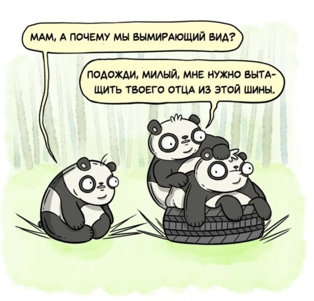 Воскресной ерунды 6 картинок