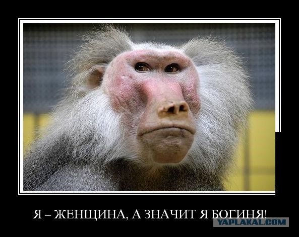 Гламур в метро - бАгиня