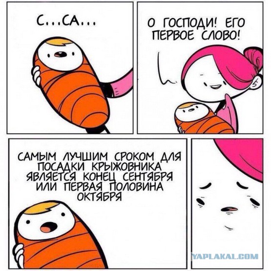 Странный юмор