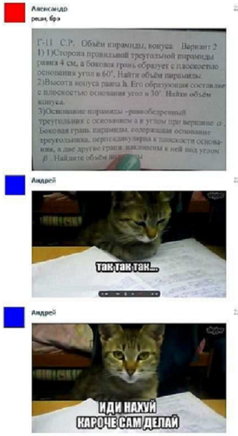 Прикольные комментарии и высказывания из Сети