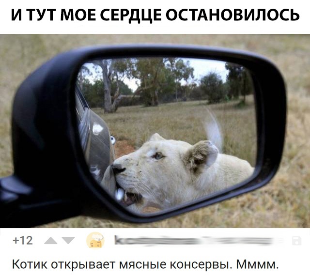Нестандартный юмор