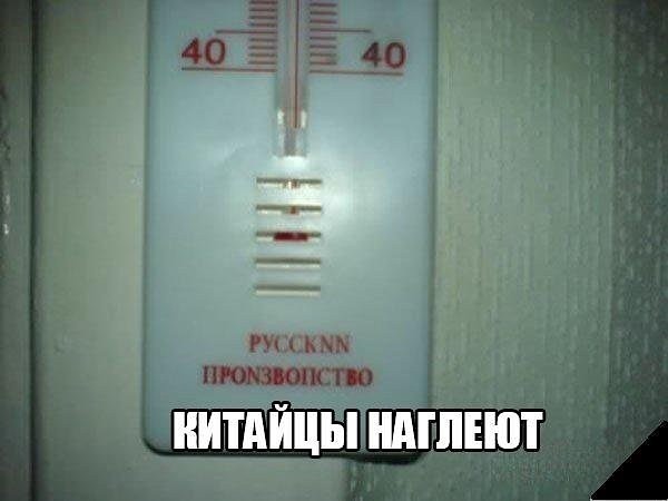 Лента прикольных картинок