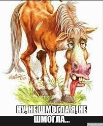 Парни в Крыму пришли в магазин за алкоголем