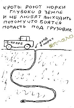 Книжка про зверей