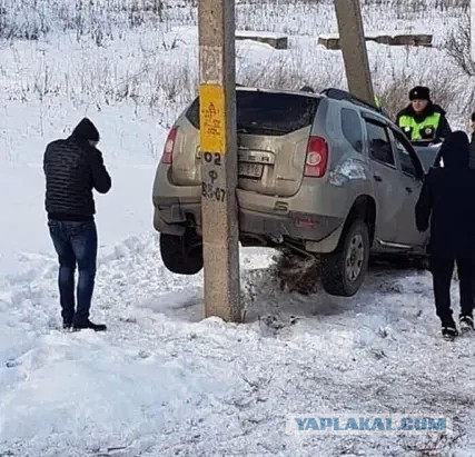 Так, граждане тунеядцы! Картинки, значит, смотрим