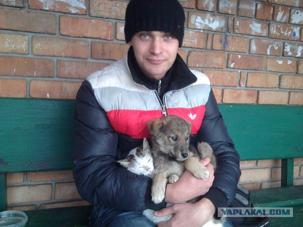 Котовторник (07.02.2012)