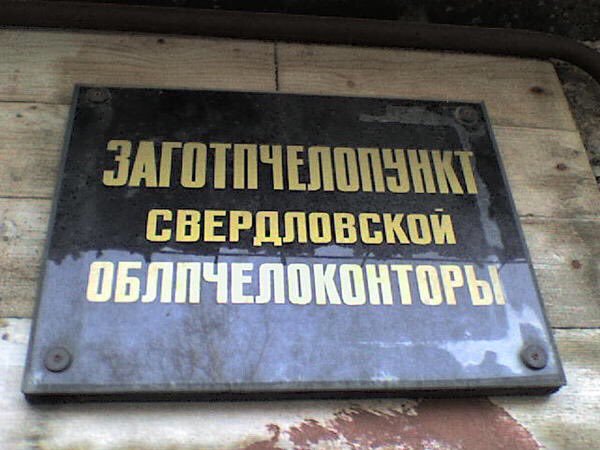 Пользователи интернета видят рифмы и слагают прикольные четверостишия