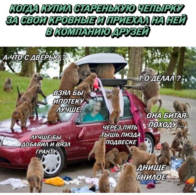 "Картинки разные нужны, картинки разные важны!" ©