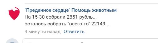 Помогите вернуть кота! Приют "Преданное сердце" украл кота и не отдает!-2
