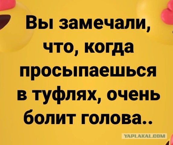 Немного картинок для настроения 24.01.20