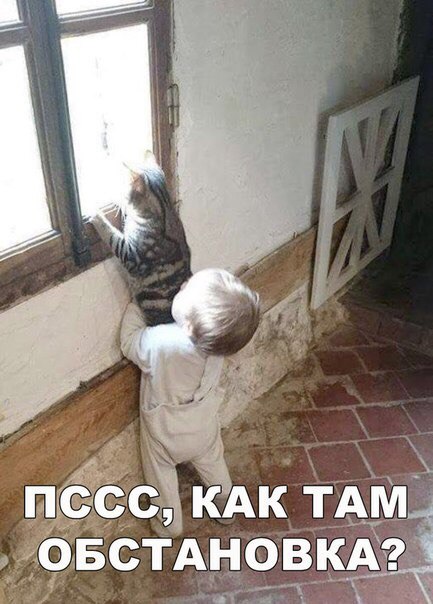 Немного картинок для настроения 29.01.20