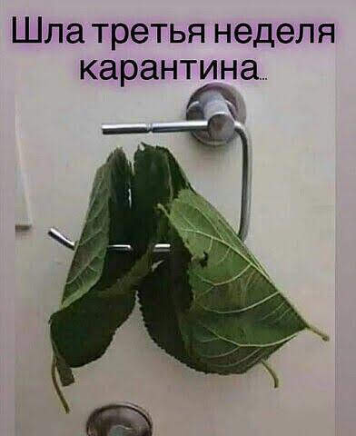 Бредзона 24.03.2020