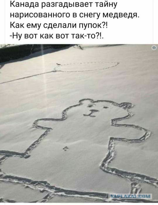 Немного картинок для настроения 04.04.20