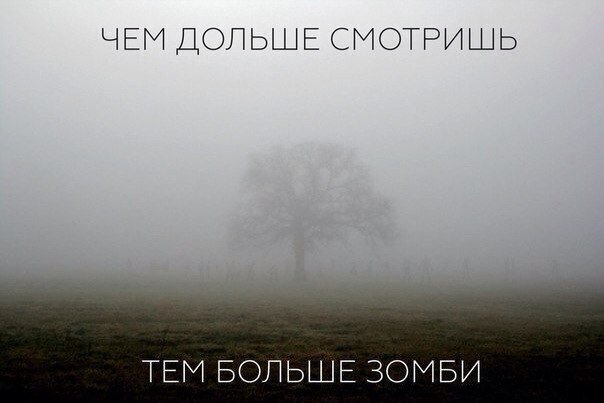 Забавные шутки, картинки и фразы из этих ваших интернетов