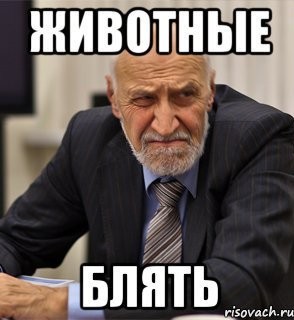 Молодые россияне занялись сексом посреди площади в Москве и попали на видео