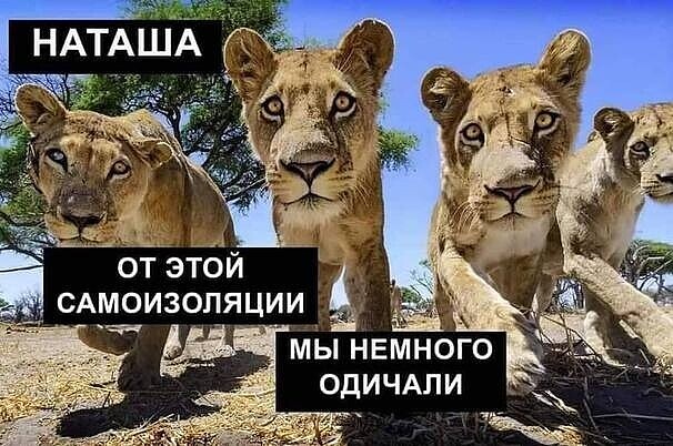 Картинки разнообразные. На злобу дня и на доброту (18.06)