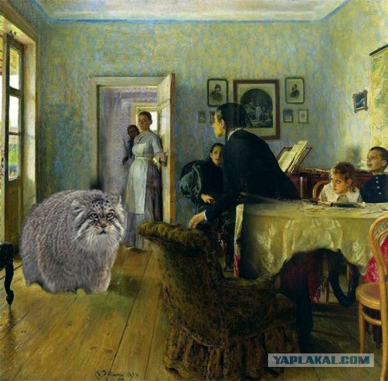 Не ждали! (5 фото + буквы)
