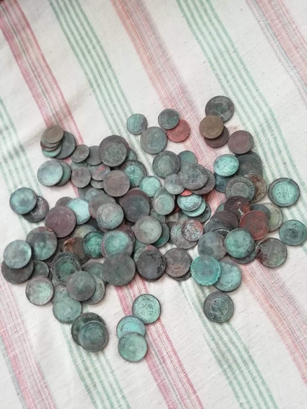 На купленной даче ожидал сюрприз