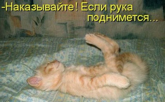 Картинки и буквы на 2020.12.02