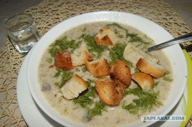 Куриный бульон для Чайников, Или «Кура-International»