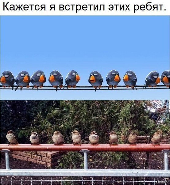 Картинки и мемы для настроения 001