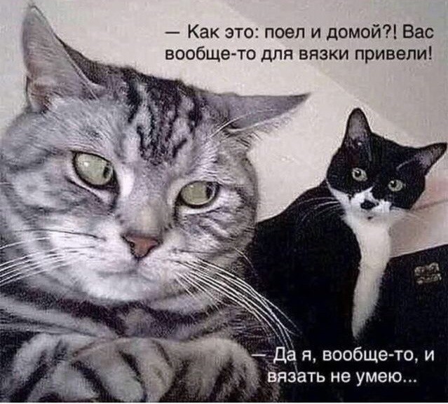 Так себе картинки 17.10.21