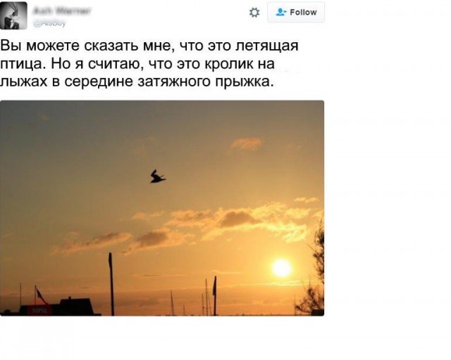 Так себе картинки 15.11.21