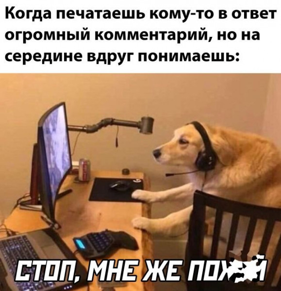 Так себе картинки 16.02.22