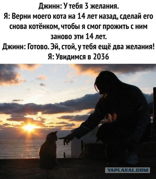 Доброе Утро 2.0 (22)