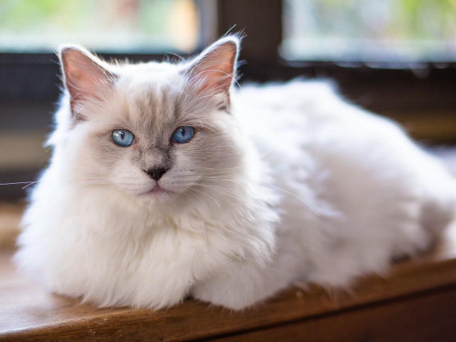 Котовторниковское
