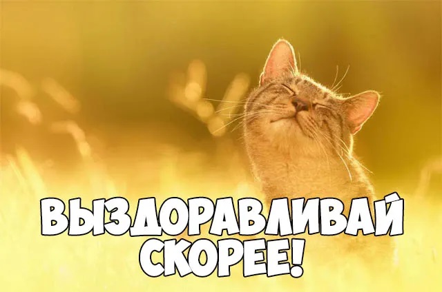 Как я "собственную связку коленного сустава" порвал