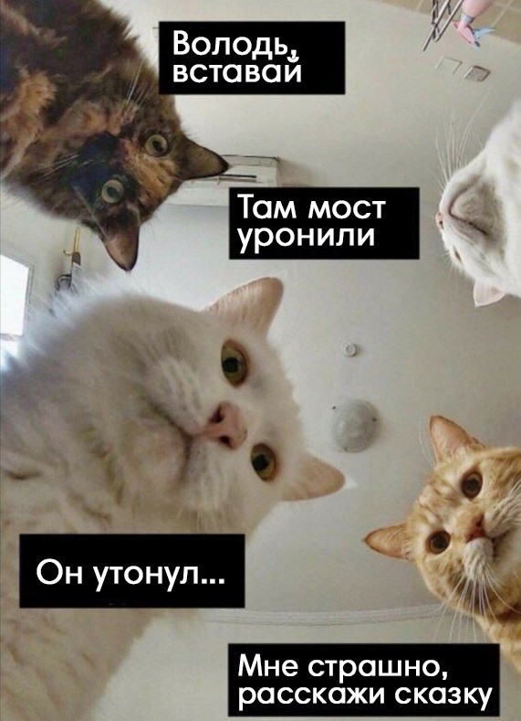 Владимир Путин не планирует в ближайшее время выступать с обращением к россиянам
